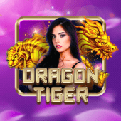 Dragon Tiger tableplus alternative live casino