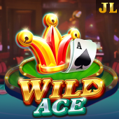 Wild Ace tableplus alternative game